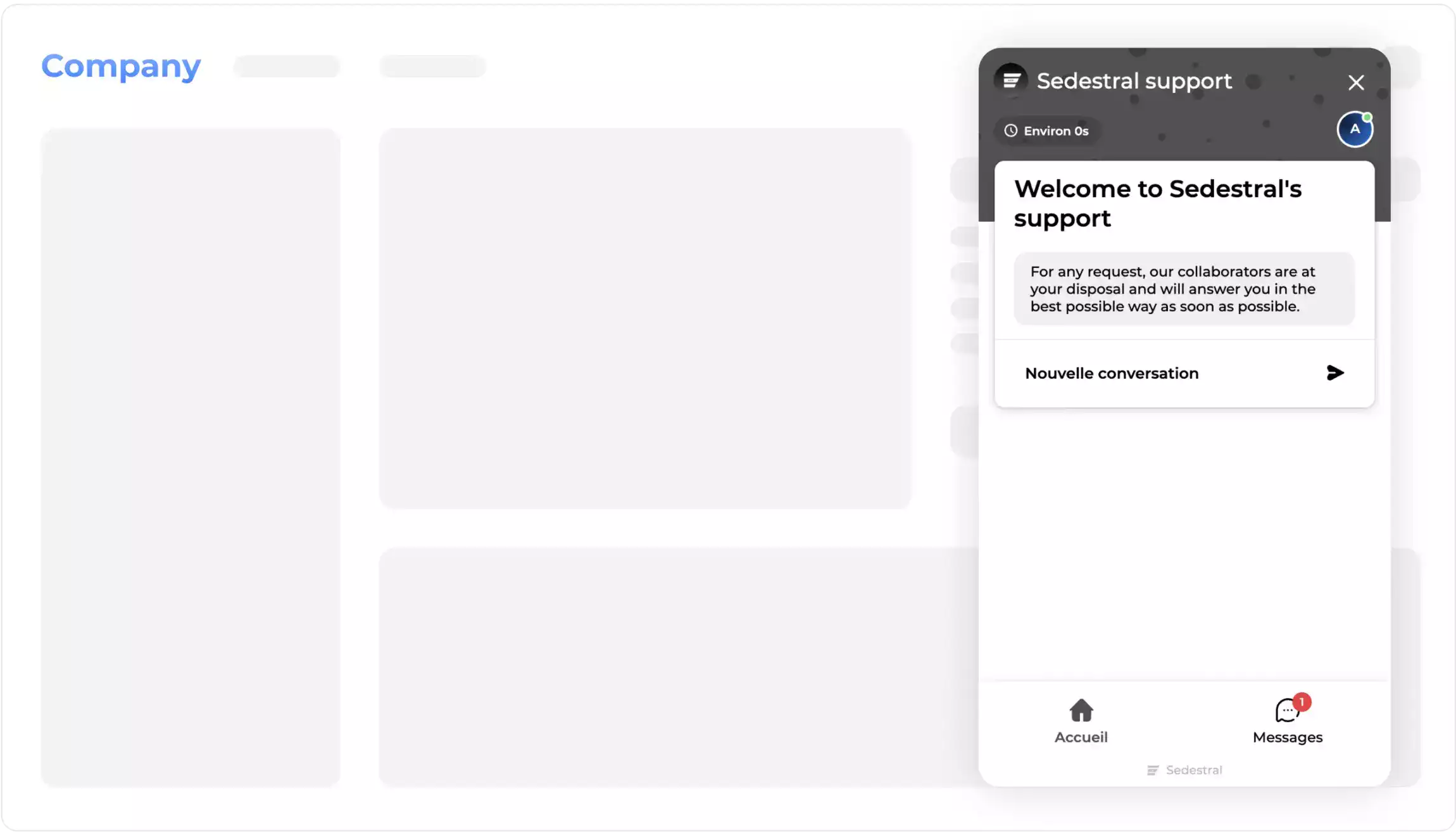 Page representing Sedestral's interface : Chat with visitors on your website.