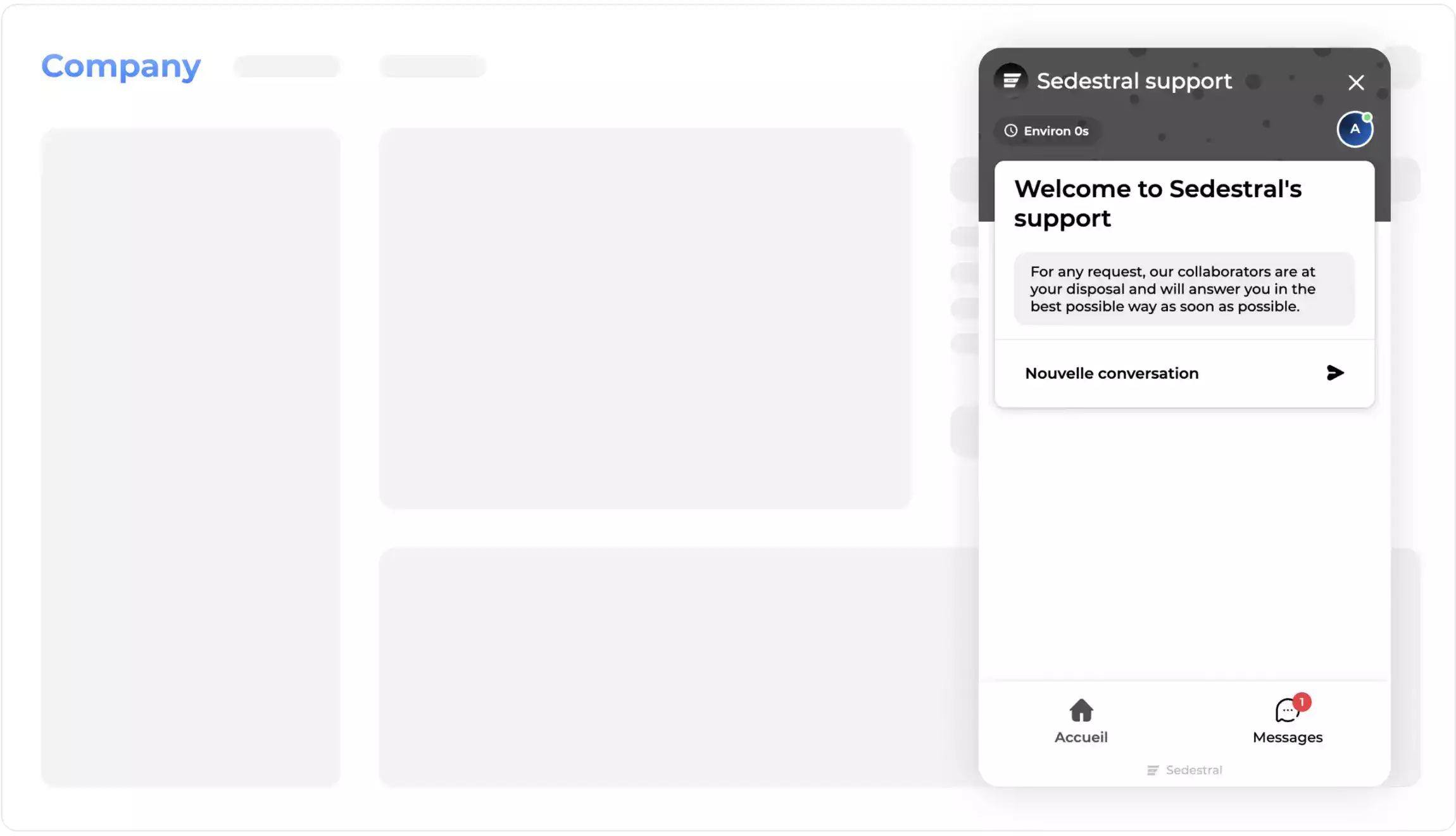 Page representing the Sedestral interface : Chat with your website visitors.