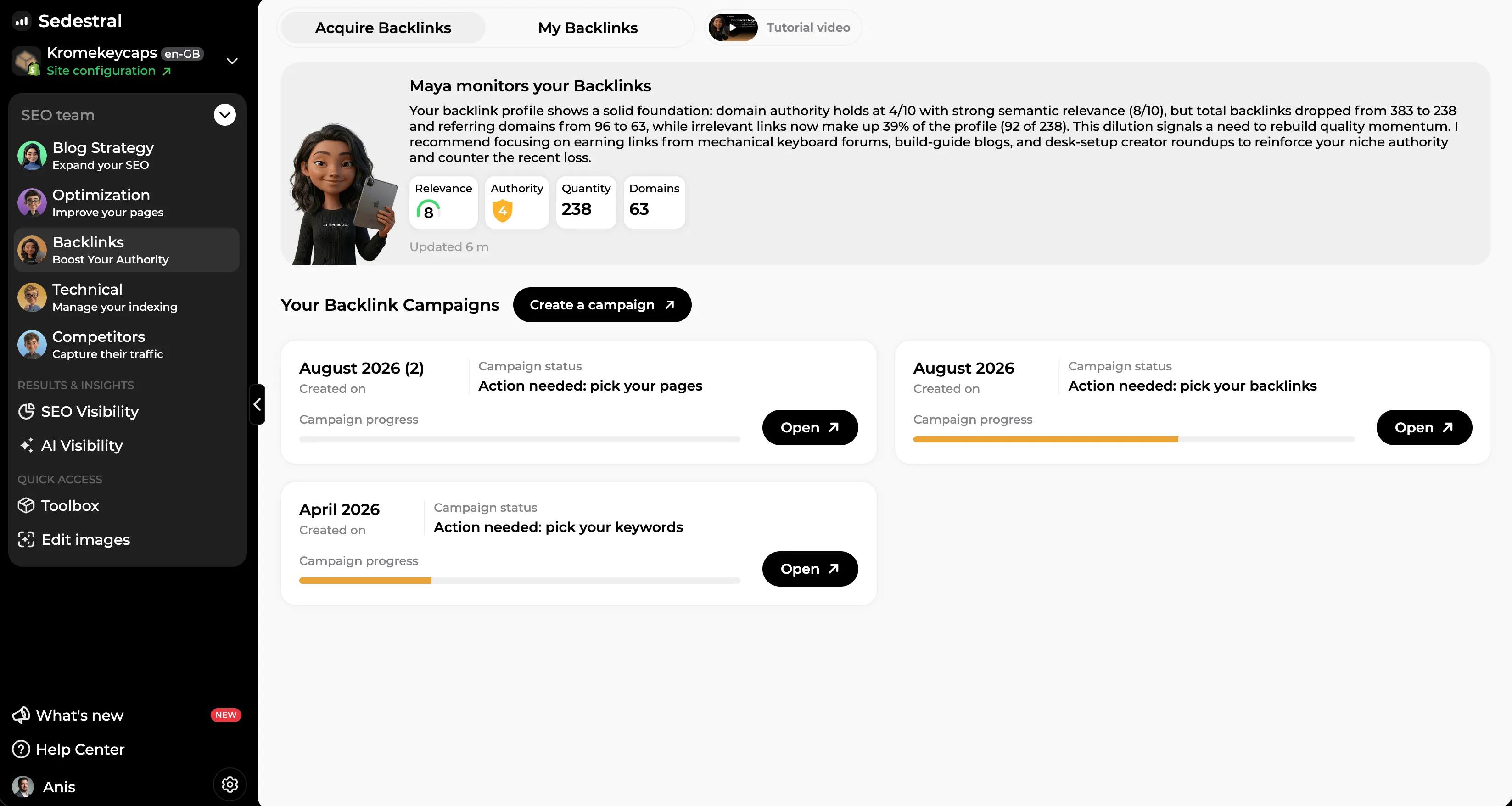 Backlink acquisition campaigns in progress