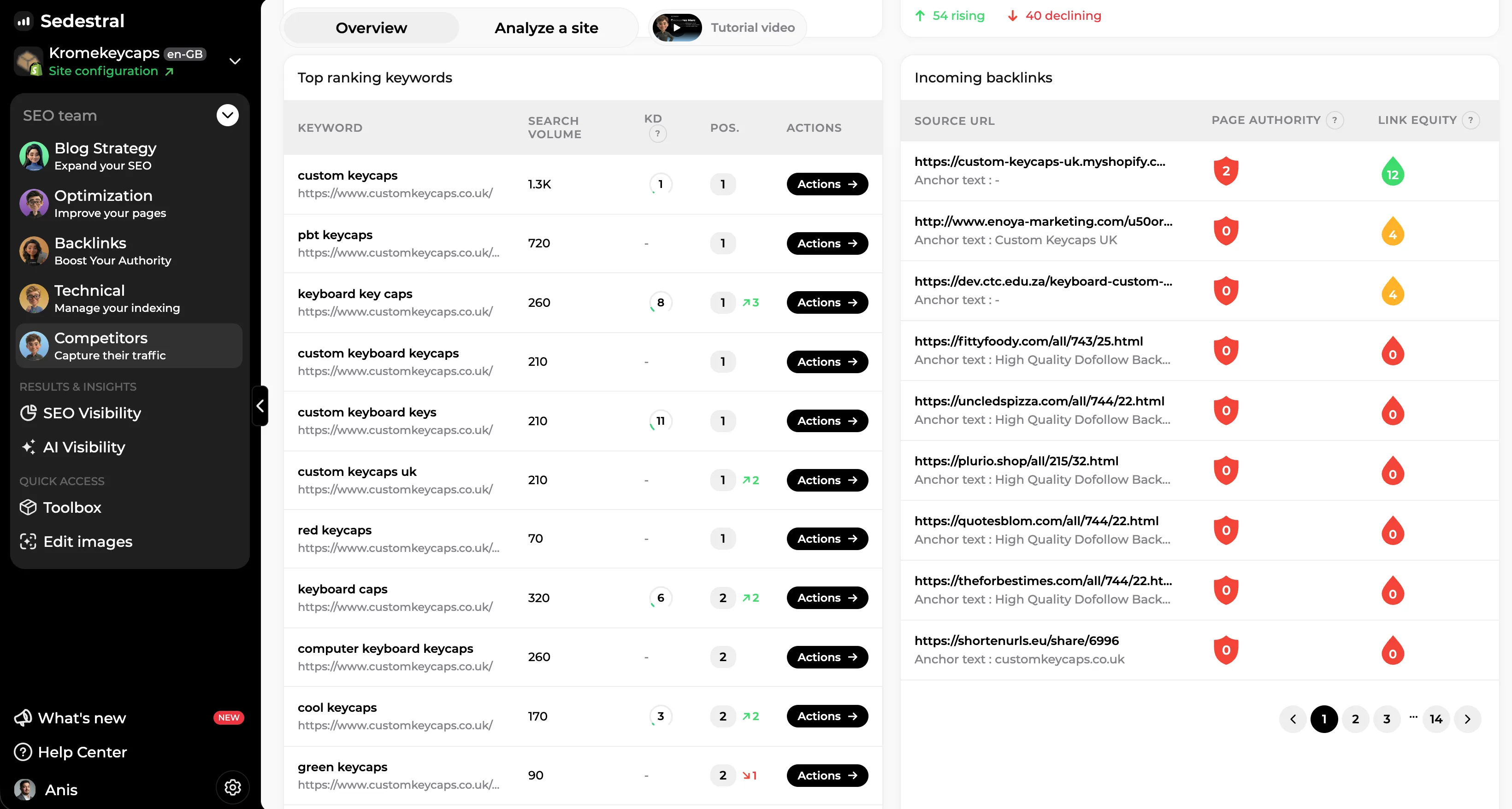 Liste der positionierten Keywords eines Wettbewerbers
