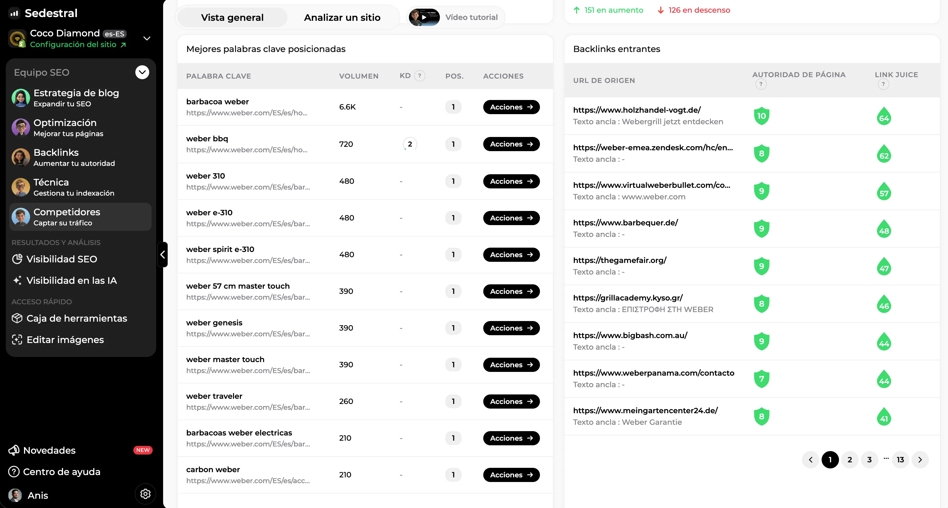 Lista de palabras clave posicionadas de un competidor