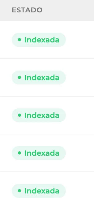 Estado devuelto por Google para cada página