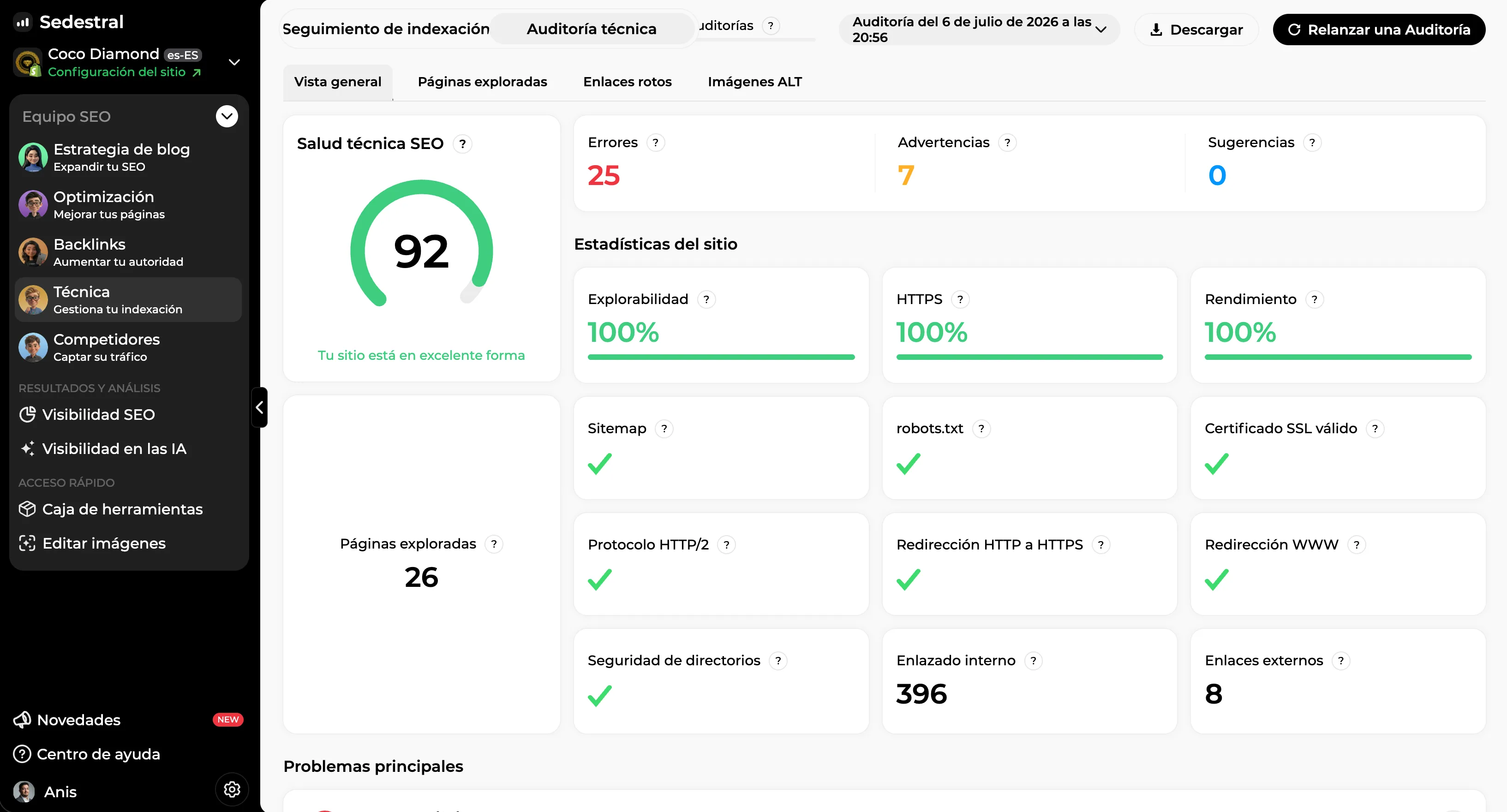 Auditoría técnica: puntuación de salud SEO, errores, advertencias y estadísticas del sitio