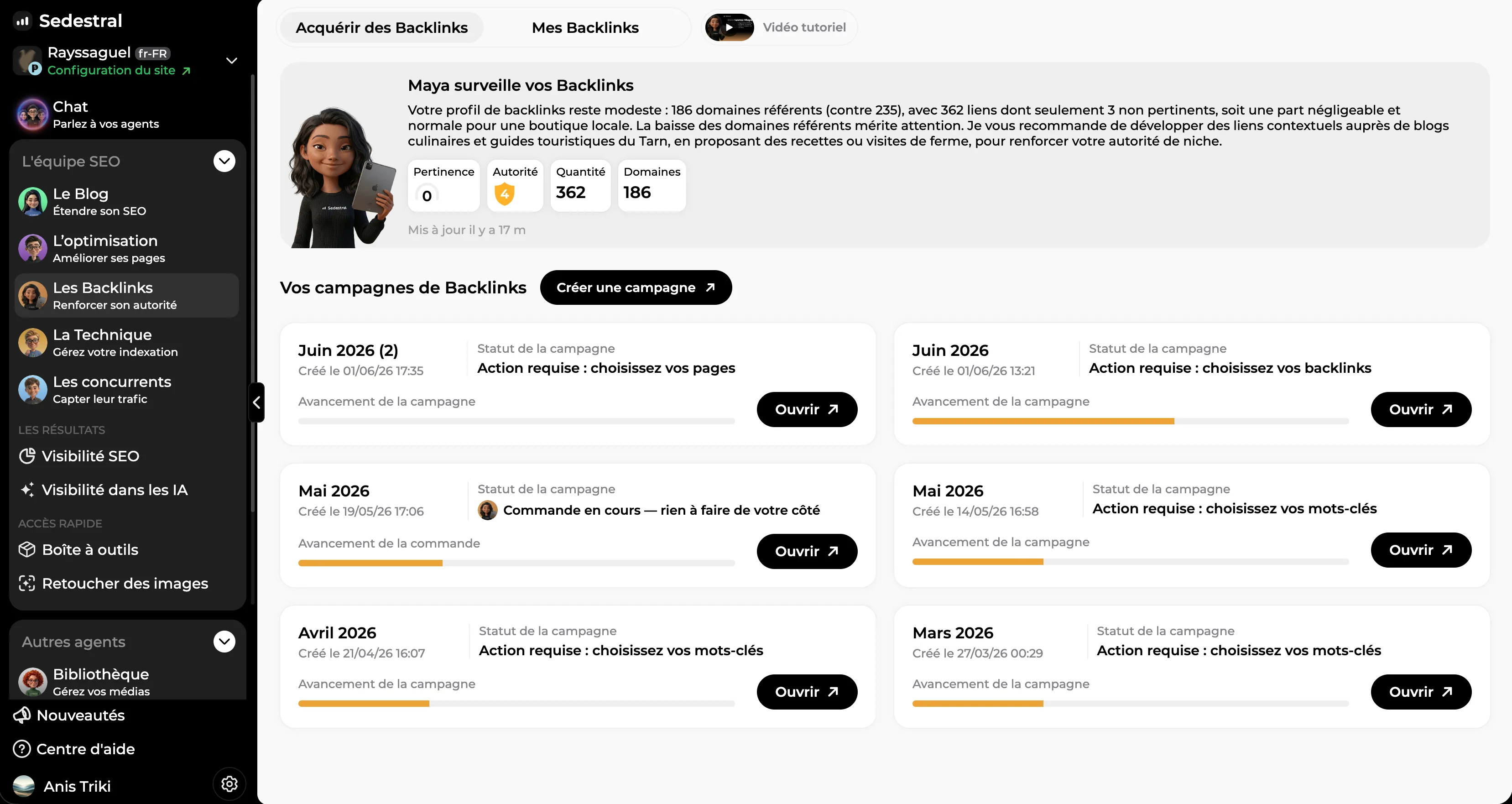 Campagnes d'acquisition de backlinks en cours