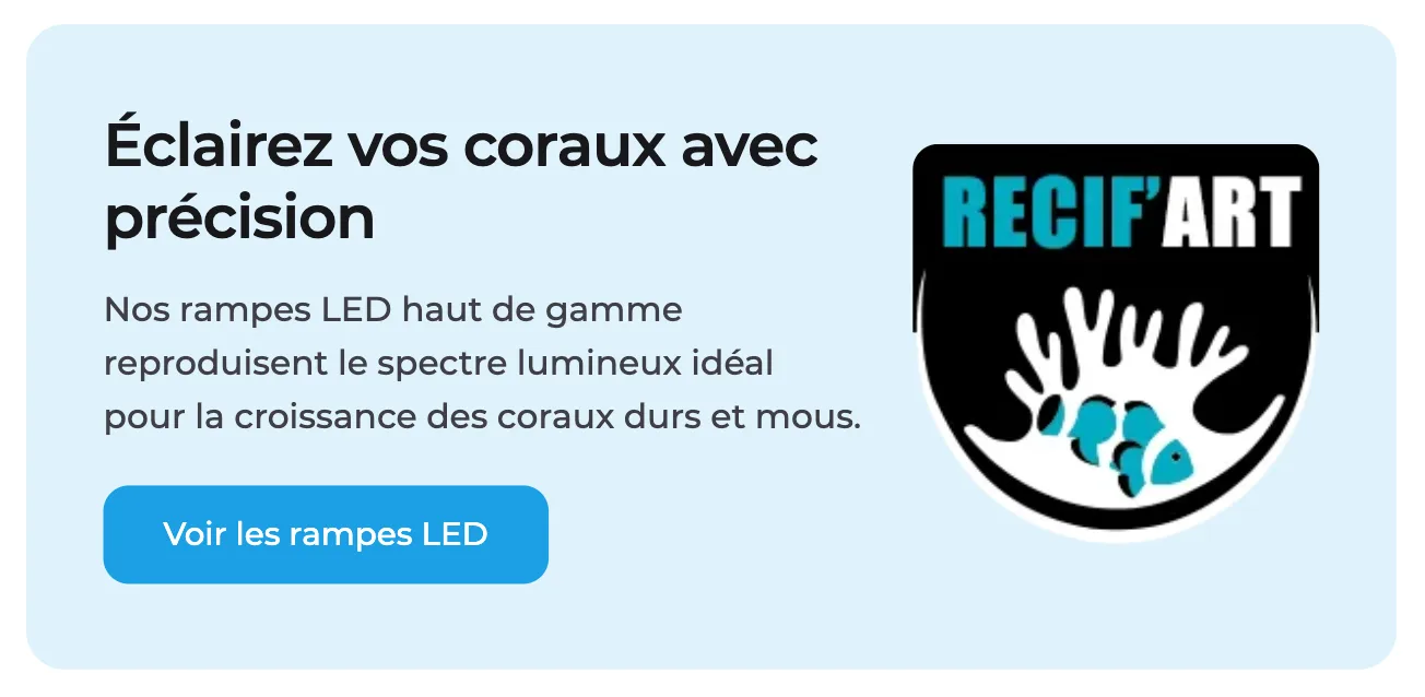 Bloc d'appel à l'action inséré dans un article et renvoyant vers une page produit