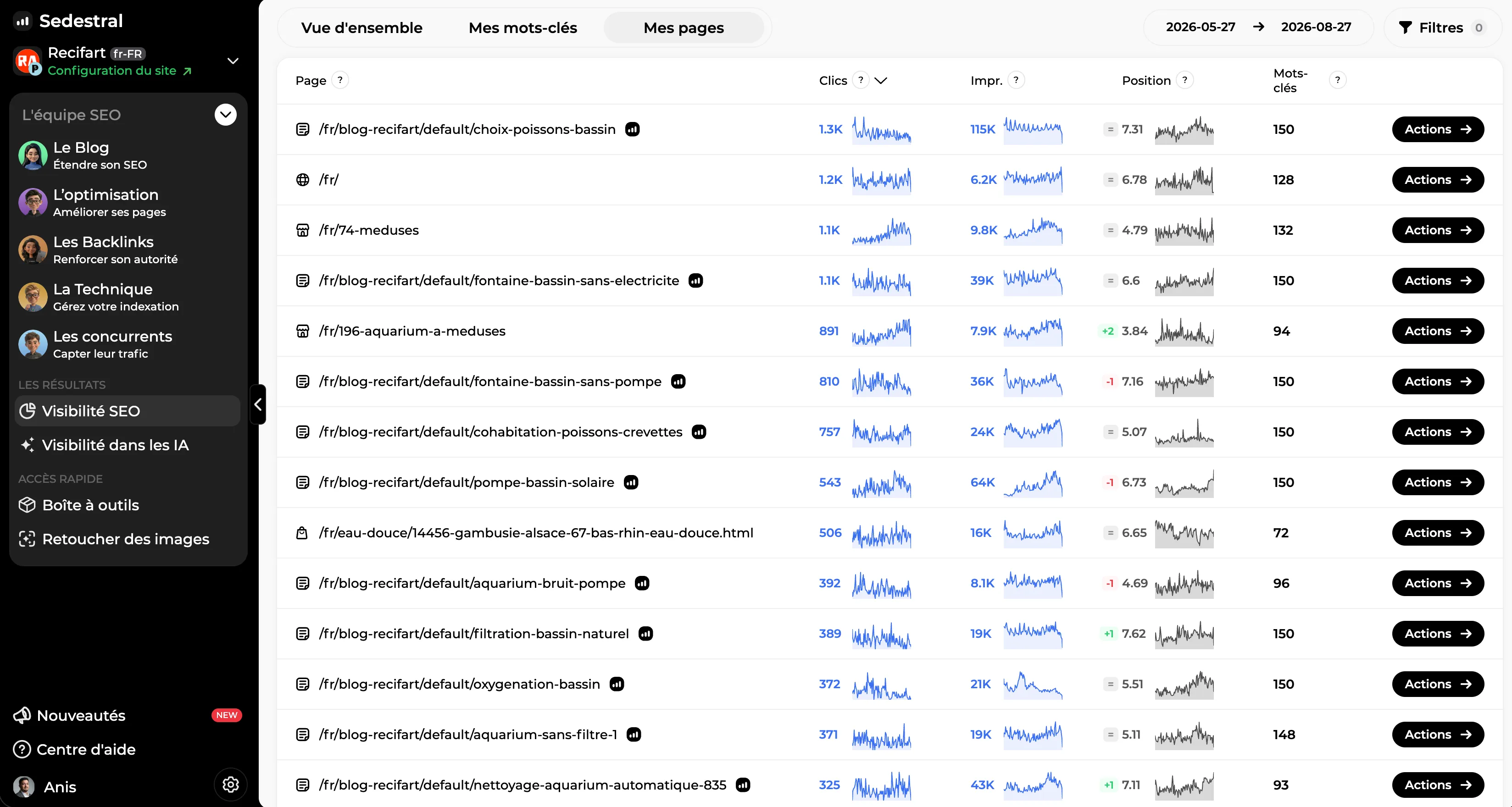 Performances SEO détaillées page par page