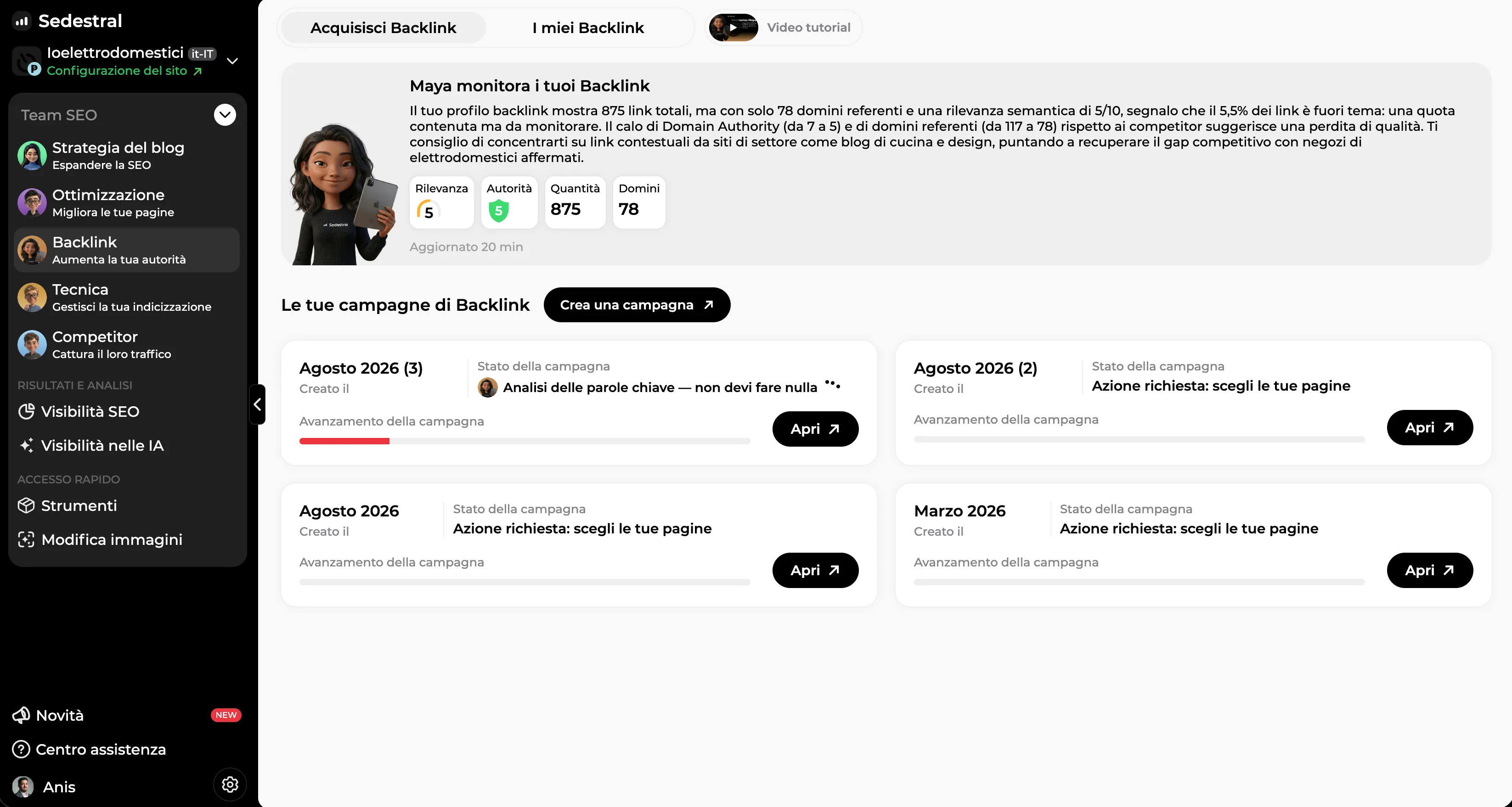 Campagne di acquisizione di backlink in corso