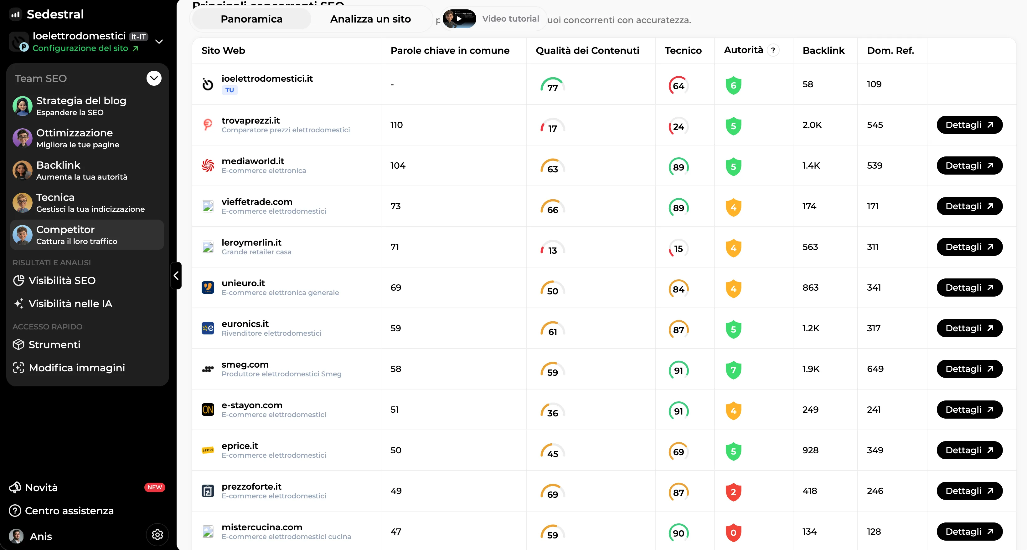 Elenco dei concorrenti SEO selezionati