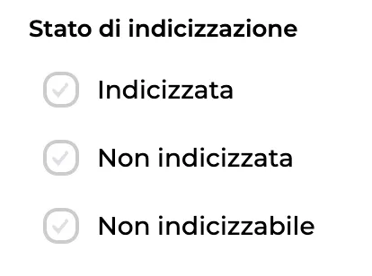 Filtro per stato di indicizzazione delle pagine